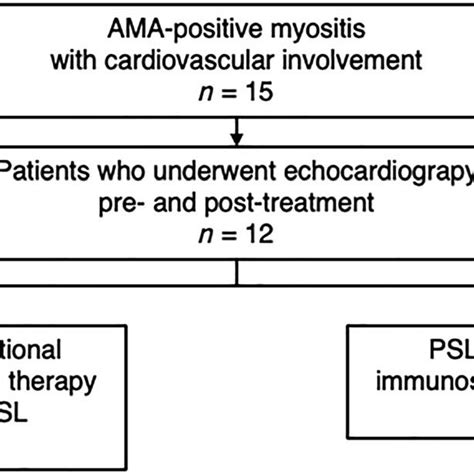 Flowchart of study patients. AMA, anti-mitochondrial antibody; PSL,... | Download Scientific Diagram