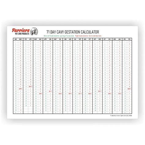 Guinea Pig Gestation Chart