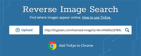 How to Do a Reverse Image Search (Desktop and Mobile)