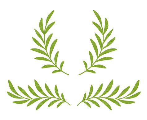 Olive Branches Wreath. Laurel Leaves Divider. Cut SVG Files. Vector Elements. PNG Files With ...