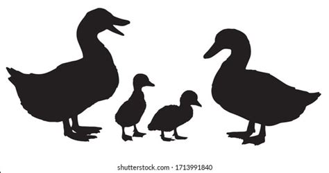 89,865 Duck family Images, Stock Photos & Vectors | Shutterstock