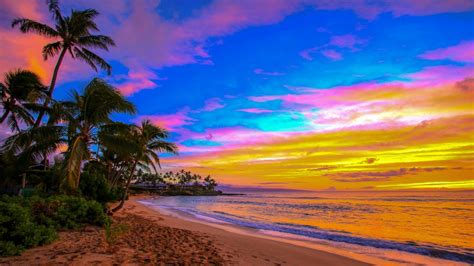 Napili Kai Palm (Maui Beach Sunset) - Hawaii Photo Print - Maui Hands