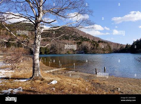 Lake scenery at winter in Nikko, Japan. Nikko is famous for its ...