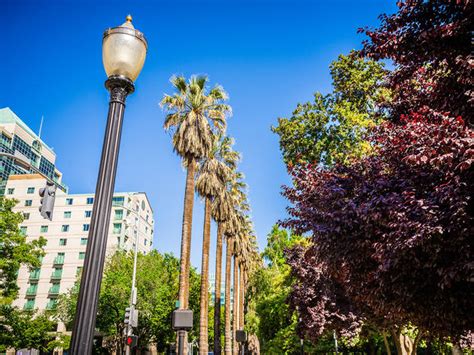 12 Best Things to Do in Downtown Sacramento Right Now