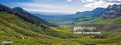 24 Kolukkumalai Tea Estate Stock Photos, High-Res Pictures, and Images ...