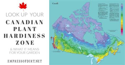 How to Find Your Canadian Plant Hardiness Zone | Empress of Dirt