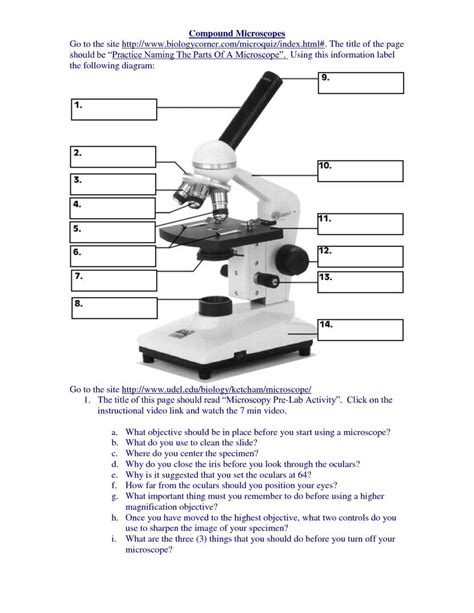 Microscope Observation Worksheet