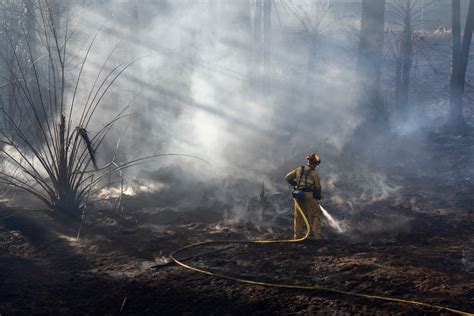 When Is the California Wildfire Season in 2022? - The Sacramento Bee