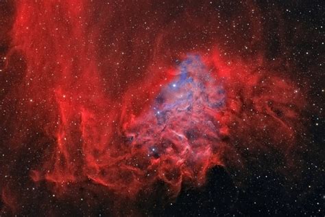 The Flaming Star Nebula (IC405) | Anne’s Astronomy News