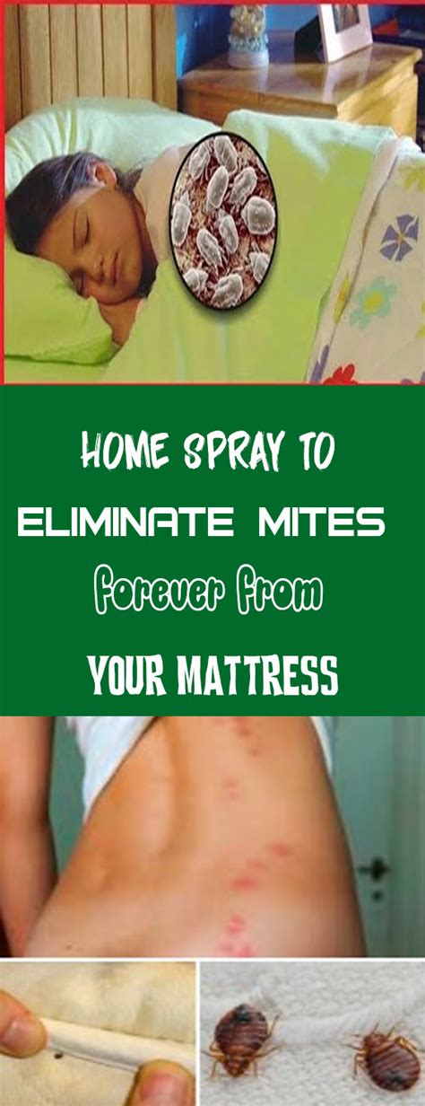 Home spray to eliminate mites forever from your mattress #wieghtloss # ...