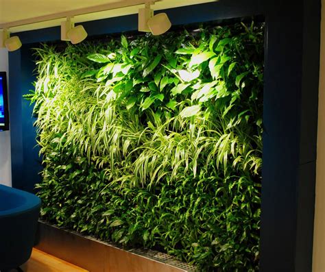 Images of Green Walls for offices | Office Landscapes