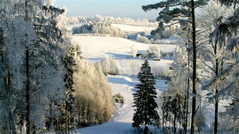 Nature Pictures: View Images of Latvia