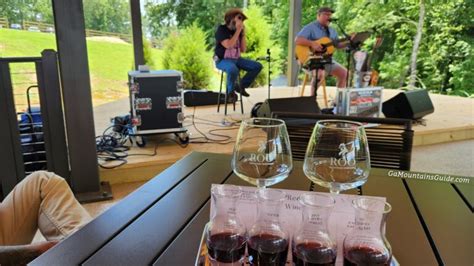 Roo Mountain Vineyards in Ellijay GA 🍷 | Ga Mountains Guide