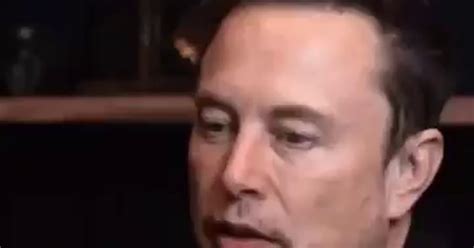 Elon Musk opinion on the war against the Palestinians🤔 - 9GAG