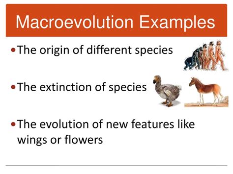 More dramatic biological changes. - ppt download