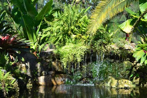 Hialeah Gardens Botanical Garden | Hialeah Gardens, FL