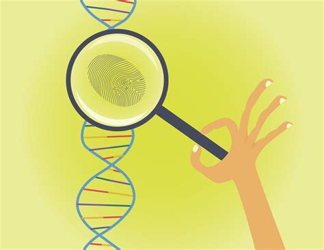 History of DNA Fingerprinting - Biology Wise