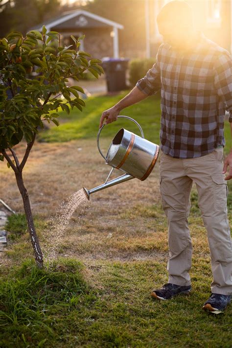 How to Start Homesteading (TODAY!) - GREY & BRIANNA