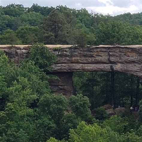 natural bridge red river gorge : r/Outdoors