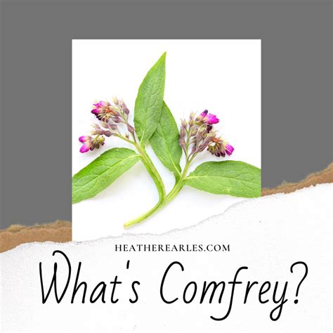 The Top 10 benefits of Comfrey? - Heather Earles