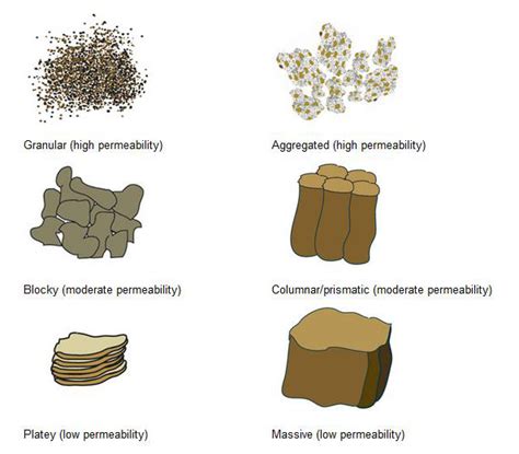 What is Soil Structure and Why is it Important? | DeepRoot Blog