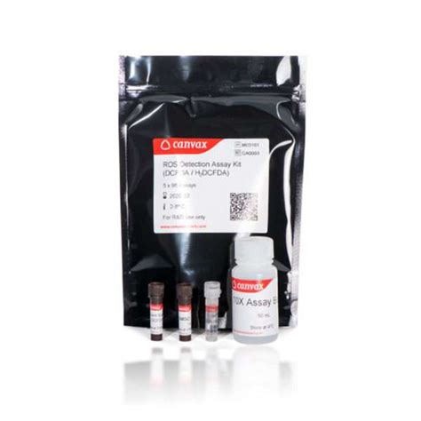 ROS Detection Assay Kit (DCFDA / H2DCFDA) - You Do Bio