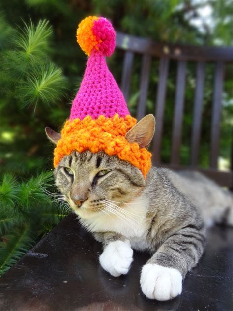 Pet Party Hat Pet Birthday Hat Party Hat for Cats Cat