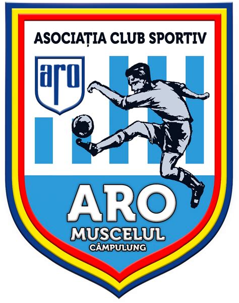 ȘOC! A revenit echipa de fotbal ARO Câmpulung pentru microbiști ...