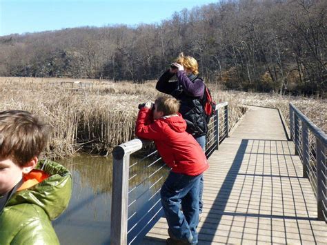 A Guide to Birding with Binoculars | Audubon New York