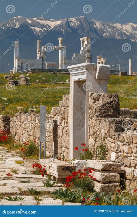 Ruins of the Ancient Town Laodicea on the Lycus Stock Image - Image of column, denizli: 128733765