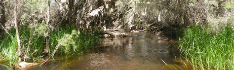 Hill River Nature Reserve - Healthy Rivers