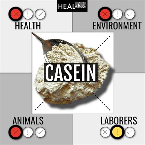 Casein Benefits + Side Effects