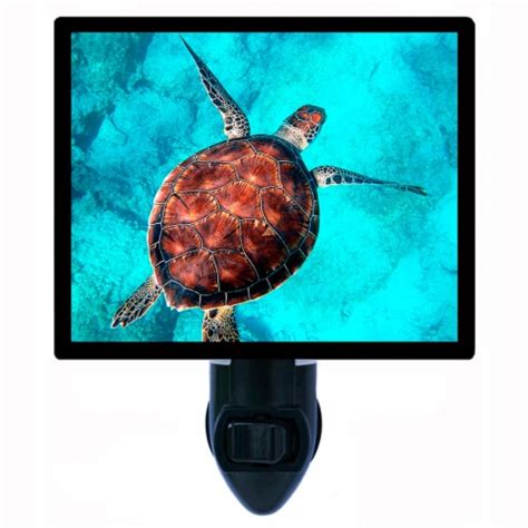 Sea Turtle Decorative Photo Night Light. Beautiful Sea Turtle. Free Extra Picture For Lights., 1 ...