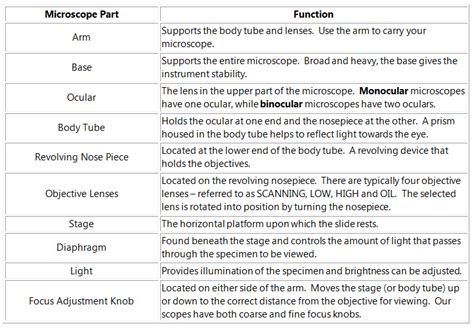 Microscope Parts And Functions Worksheets