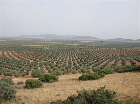 La Mancha, Spain - Robert Ward Meteorites