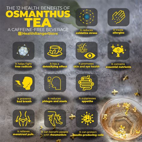 The 12 health benefits of osmanthus tea, a caffeine-free beverage ...