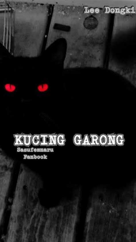 Semua Repot Karena Kucing Musafir Kehidupan - kucing garong meaning ...