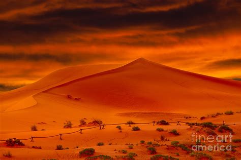 Glowing Orange Desert Sand Dunes At Sunset Photograph by Susan McKenzie