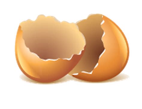 Egg shell clipart 20 free Cliparts | Download images on Clipground 2024