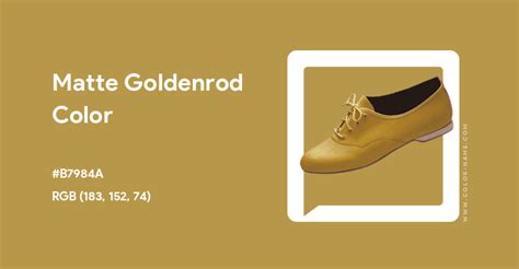 Matte Goldenrod color hex code is #B7984A