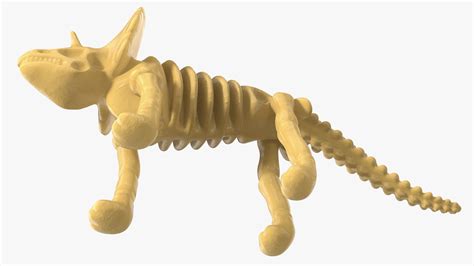 Triceratops Dinosaur Skeleton Toy 3D Model - TurboSquid 2177333