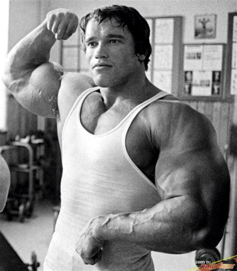 ARNOLD SCHWARZENEGGER raccolta foto thread - DaiDeGas Forum