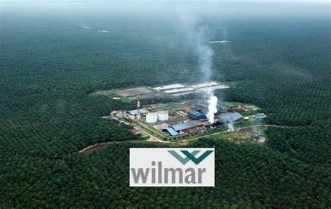 Palm Oil Giant Wilmar Steps Up Efforts To Stop Deforestation