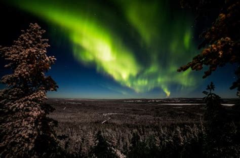 Rovaniemi Northern Lights Photography Small-Group Tour provided by Beyond Arctic | Rovaniemi ...