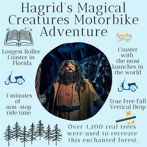 Guide to Hagrid’s Magical Creatures Motorbike Adventure at Universal