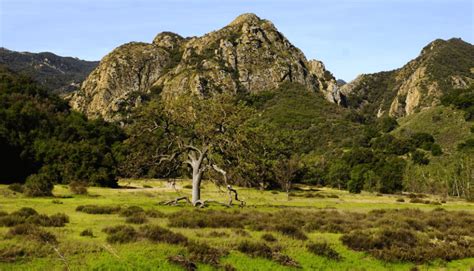 Malibu Creek State Park - Parks Guidance