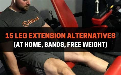 15 Leg Extension Alternatives (At Home, Bands, Free Weight) | PowerliftingTechnique.com