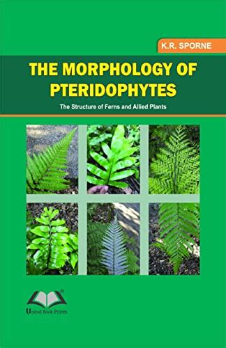 The Morphology of Pteridophytes the Structure of Ferns and Apllied Plants - K.R. Sporne ...