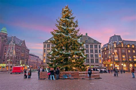 Christmas Tree Amsterdam 2024 - Katie Ronnica