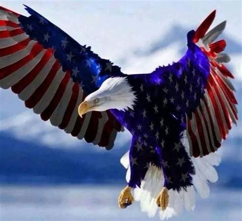 Pin by Brenda Mullenix on Military/USA | Bald eagle, American flag eagle, Animals